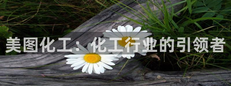 球盟会连接
