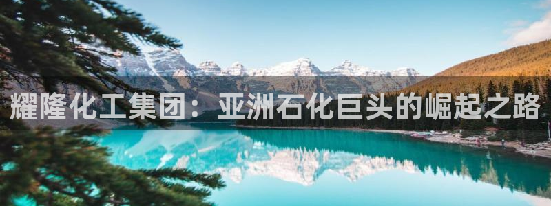 球盟会qmh网址