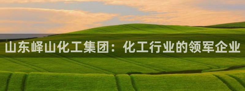 球盟会qmh官网