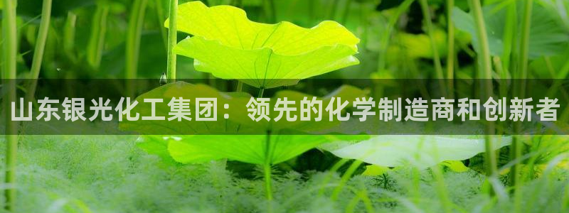 球盟会app最新地址下载安装：山东银光化工集团：领先的化学制