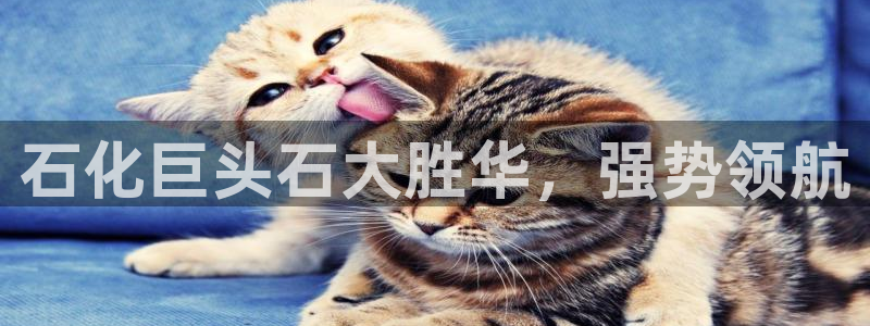 球盟会可靠不：石化巨头石大胜华，强势领航