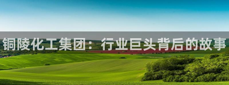 球盟会邮箱
