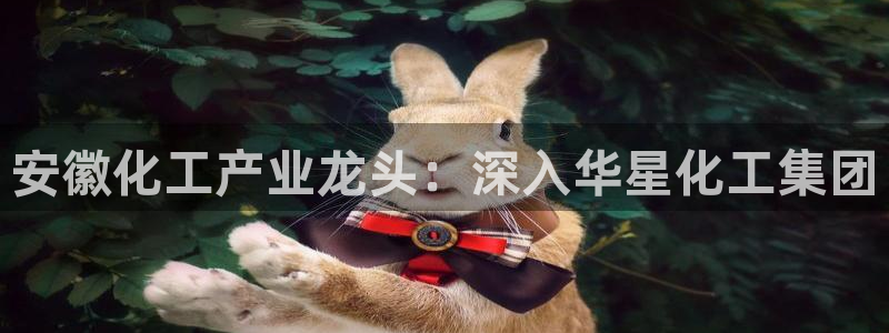 球盟会论坛：安徽化工产业龙头：深入华星化工集团