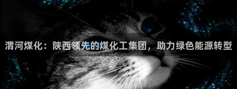 球盟会app最新地址在哪看：渭河煤化：陕西领先的煤化工集团，