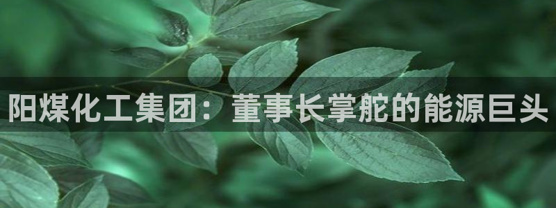 球盟会官方网站是什么