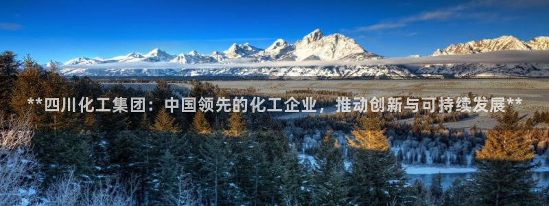球盟会app最新地址下载安装：**四川化工集团：中国领先的化