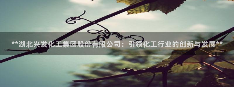 球盟会体育平台：**湖北兴发化工集团股份有限公司：引领化工行