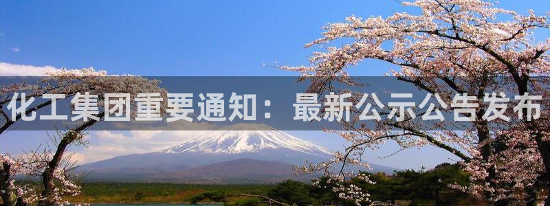 球盟会下款快吗