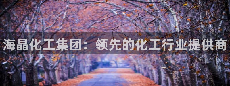 球盟会官方网站：海晶化工集团：领先的化工行业提供商
