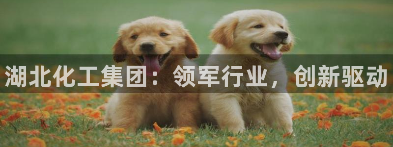 球盟会最新