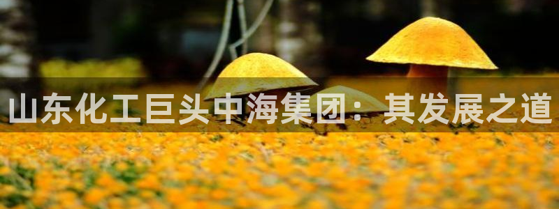 球盟会平台会黑单吗
