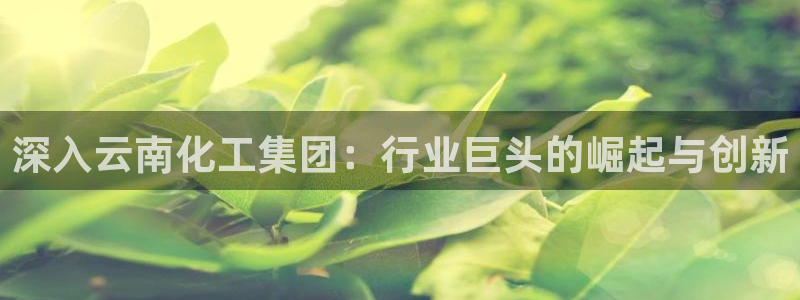 球盟会优惠码