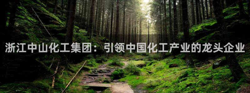 球盟会里面有打牌的嘛是真的吗：浙江中山化工集团：引领中国化工