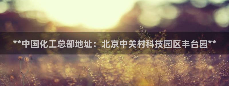 球盟会可以提现么