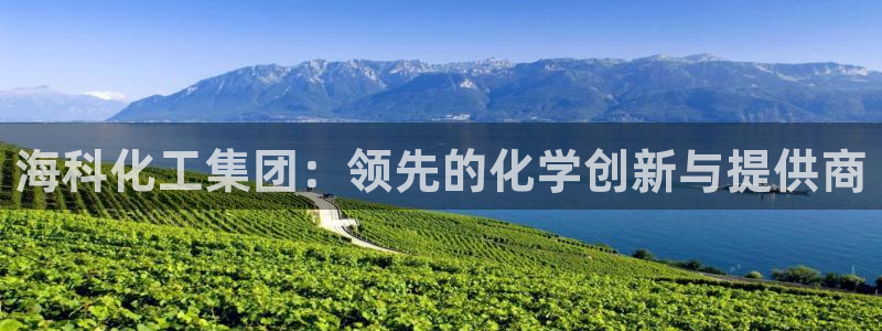 球盟会官方网页登录：海科化工集团：领先的化学创新与提供商