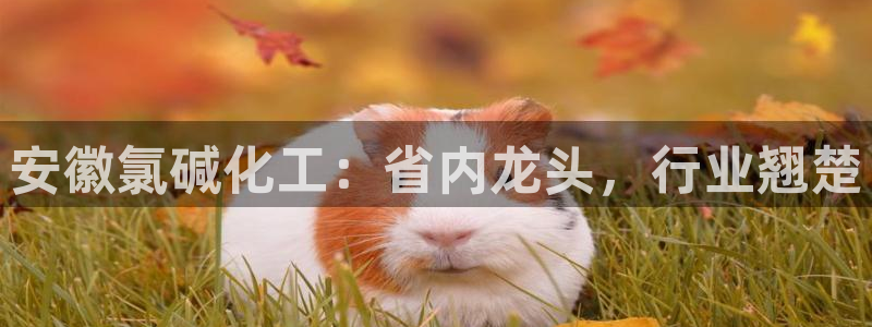 球盟会和中欧