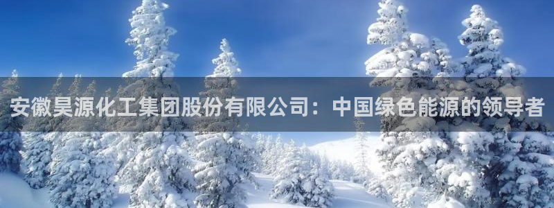 球盟会官方版下载地址：安徽昊源化工集团股份有限公司：中国绿色