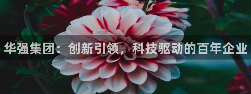 球盟会吧：华强集团：创新引领，科技驱动的百年企业