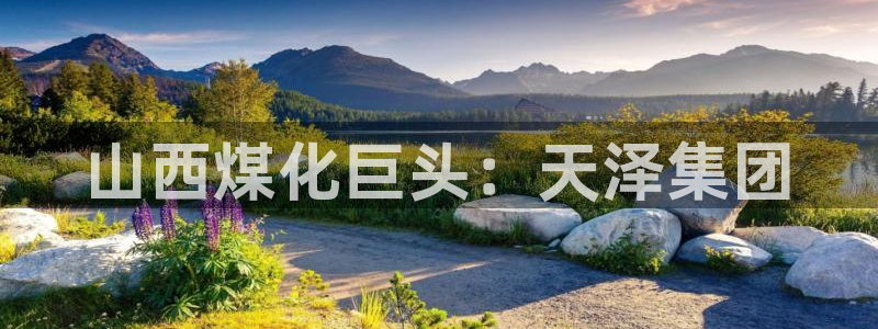 球盟会官方网址入口：山西煤化巨头：天泽集团