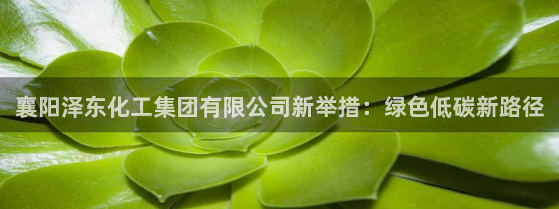 球盟会游戏几点玩合适：襄阳泽东化工集团有限公司新举措：绿色低