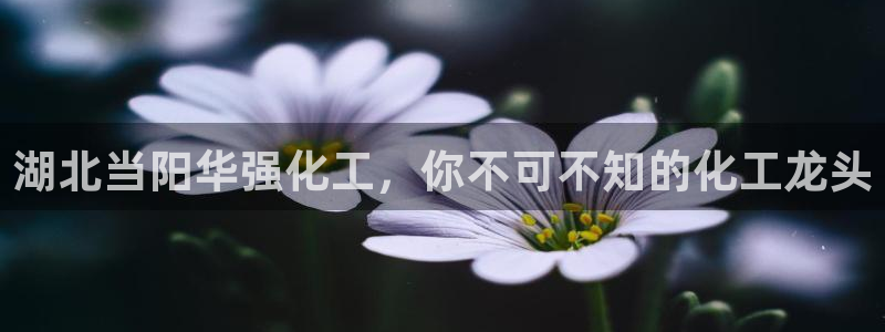 球盟会几点玩合适