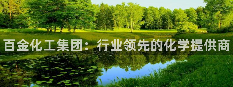 球盟会最新地址备用：百金化工集团：行业领先的化学提供商