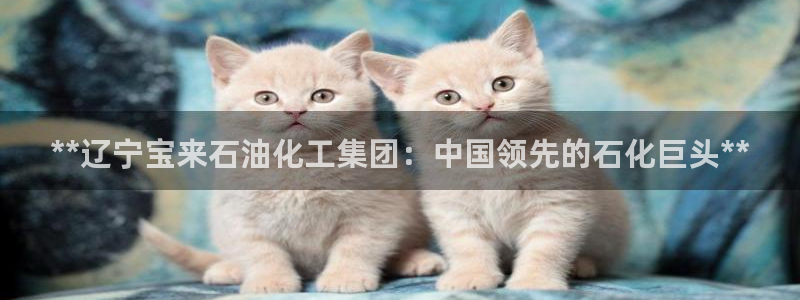 球盟会有限公司怎么样：**辽宁宝来石油化工集团：中国领先的石