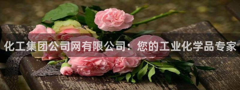 球盟会乐虎