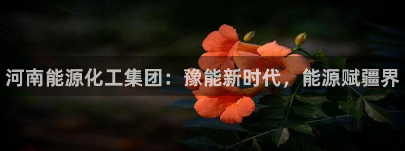 球盟会app最新地址在哪