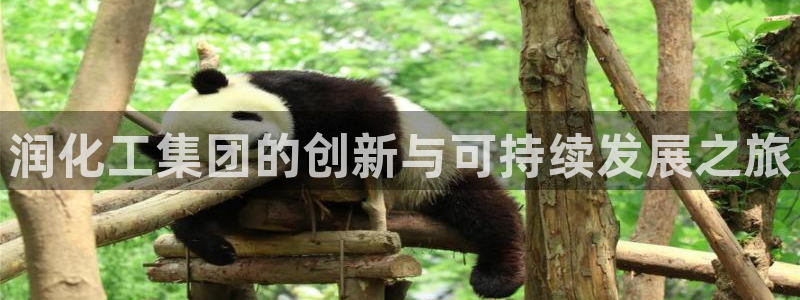 球盟会官方网入口