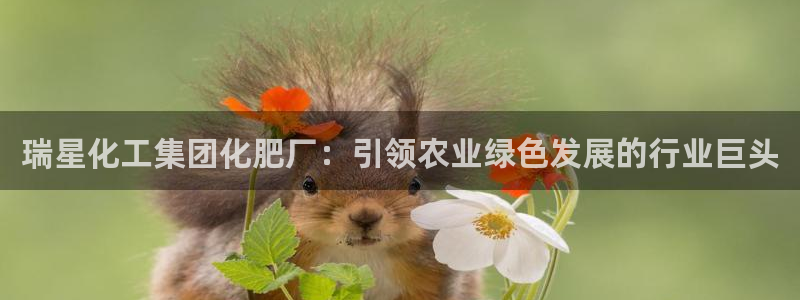 球盟会可以提现么