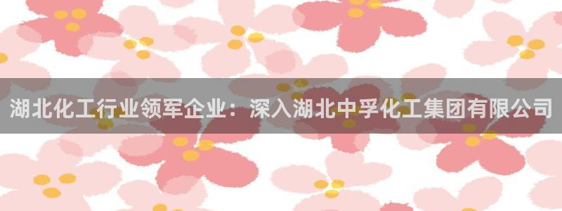 球盟会登录平台入口：湖北化工行业领军企业：深入湖北中孚化工集
