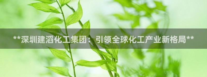 球盟会贴吧