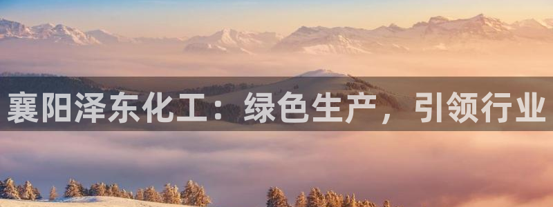 球盟会中国官方网站