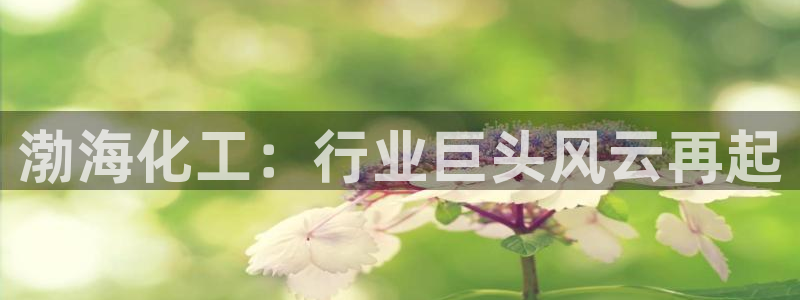 球盟会有没有黑单的