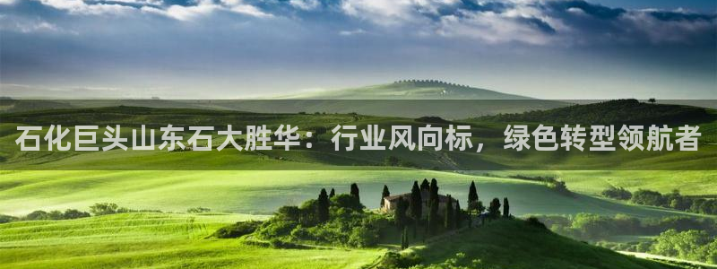 球盟会可以提现么现在：石化巨头山东石大胜华：行业风向标，绿色