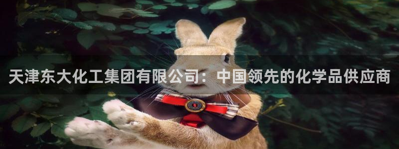 球盟会网页版：天津东大化工集团有限公司：中国领先的化学品供应
