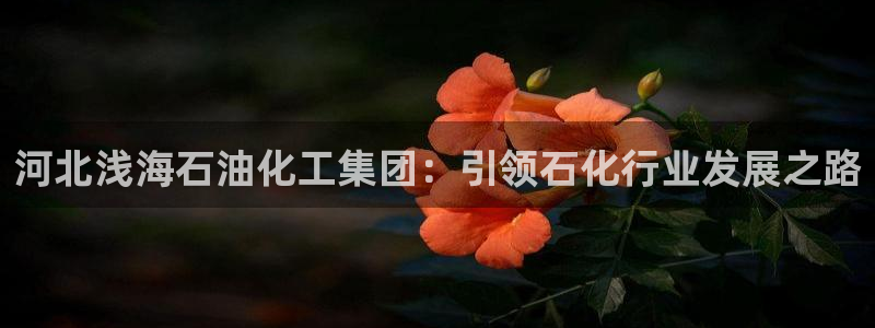球盟会qmh - 球盟会官方网站：河北浅海石油化工集团：引领