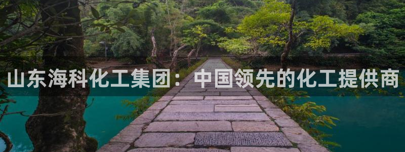 球盟会入口：山东海科化工集团：中国领先的化工提供商