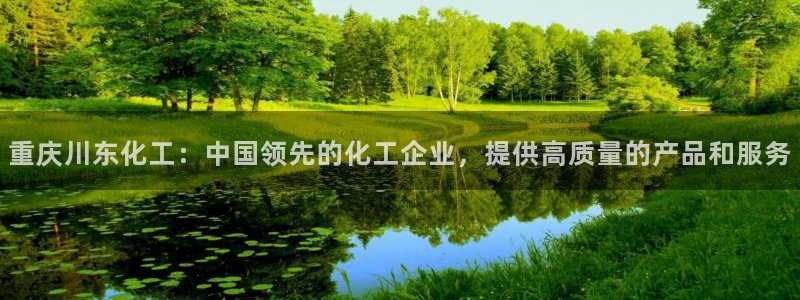 千亿球盟会乐玩：重庆川东化工：中国领先的化工企业，提供高质量