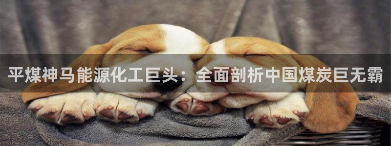 球盟会黑款吗
