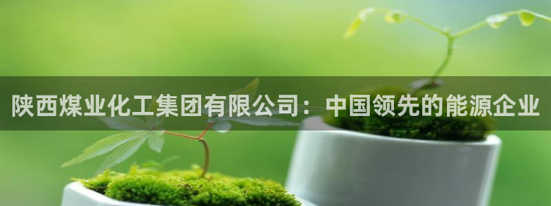 球盟会qmh：陕西煤业化工集团有限公司：中国领先的能源企业