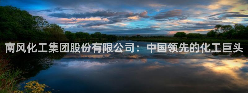 球盟会黑台子：南风化工集团股份有限公司：中国领先的化工巨头