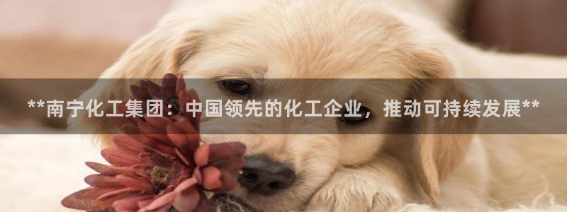 球盟会app最新地址在哪找：**南宁化工集团：中国领先的化工