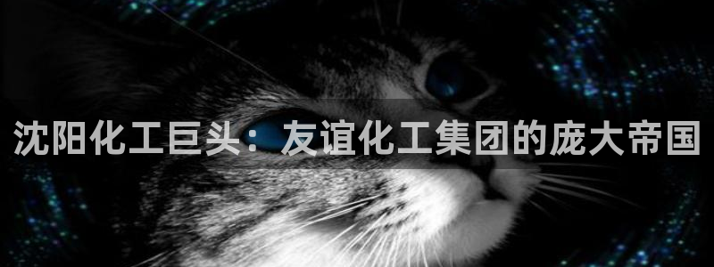 球盟会综合体育平台怎么样：沈阳化工巨头：友谊化工集团的庞大帝