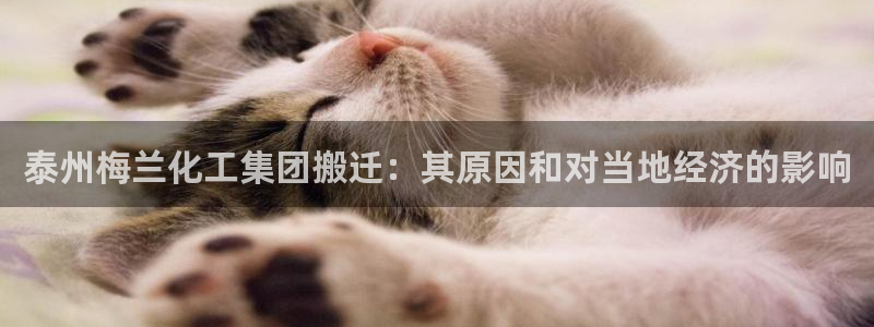 球盟会APP下载：泰州梅兰化工集团搬迁：其原因和对当地经济的