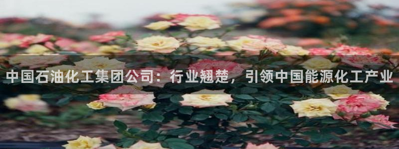 球盟会官网：中国石油化工集团公司：行业翘楚，引领中国能源化工