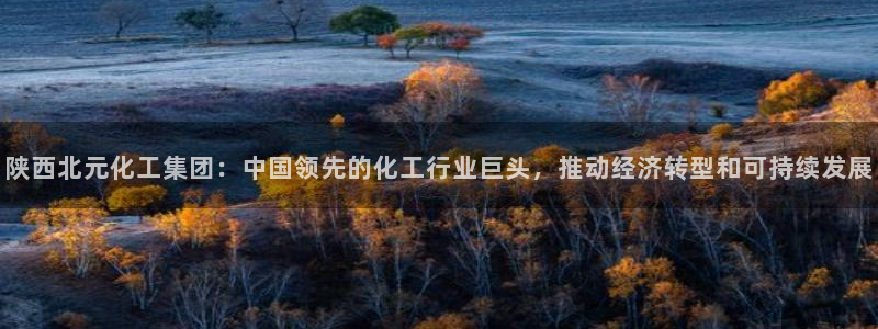 球盟会APP官网：陕西北元化工集团：中国领先的化工行业巨头，