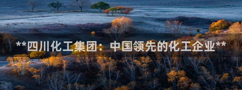 球盟会qmh - 球盟会官方网站：**四川化工集团：中国领先