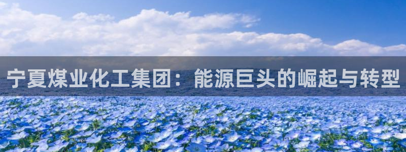 球盟会类似的网站